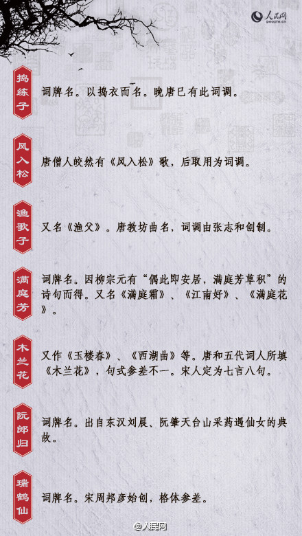 词牌名